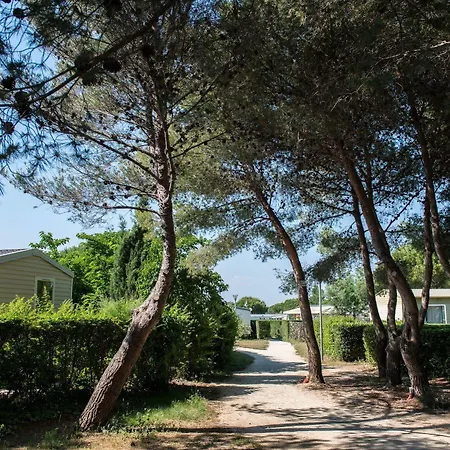 Campsite Officiel Siblu Le Des Reves 4*