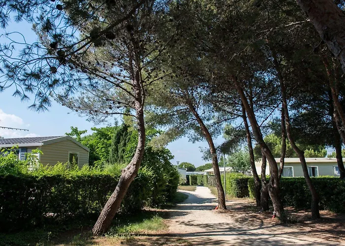 Parque de Campismo Officiel Siblu Le Des Rêves 4*